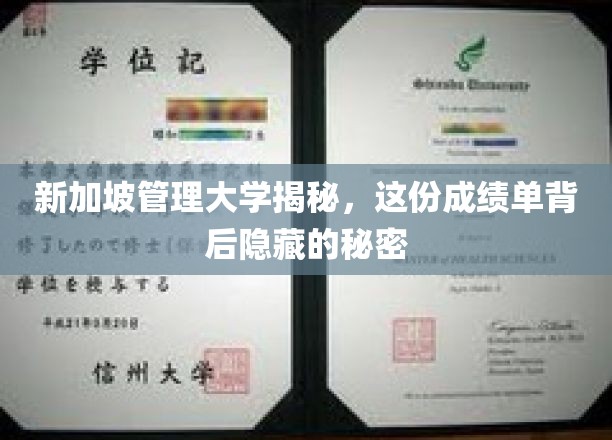 新加坡管理大学揭秘，这份成绩单背后隐藏的秘密