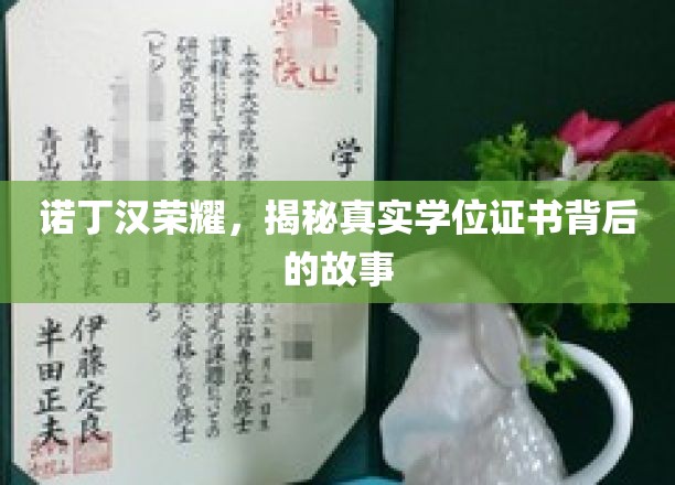 诺丁汉之光，探寻学位证书背后的传奇历程