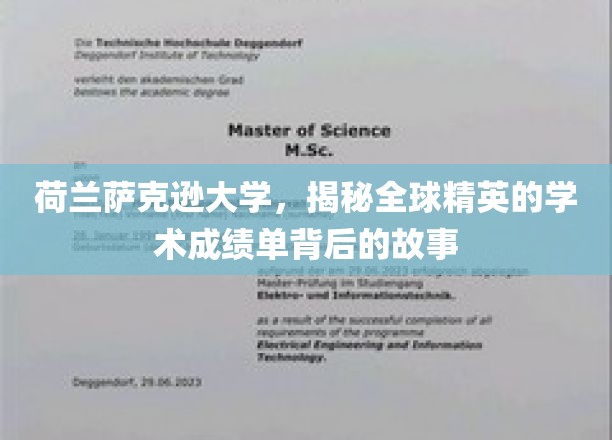 探寻荷兰萨克逊大学精英学子卓越成绩背后的传奇之路