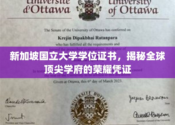 解码狮城学府，新加坡国立大学学位证书的尊贵印记