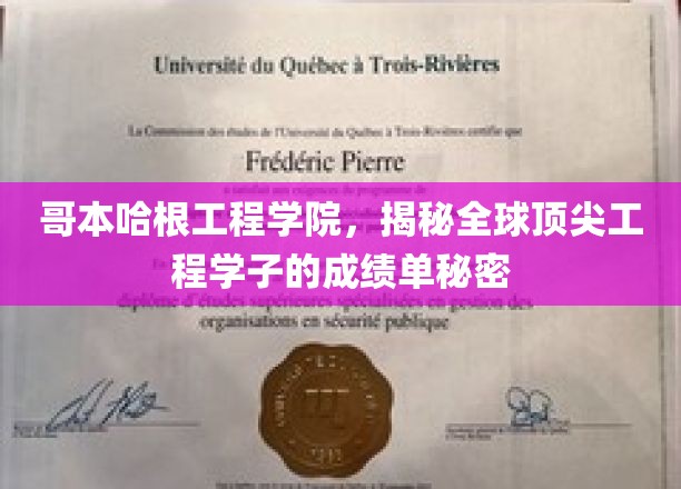 哥本哈根工程学院，揭秘全球顶尖工程学子的成绩单秘密