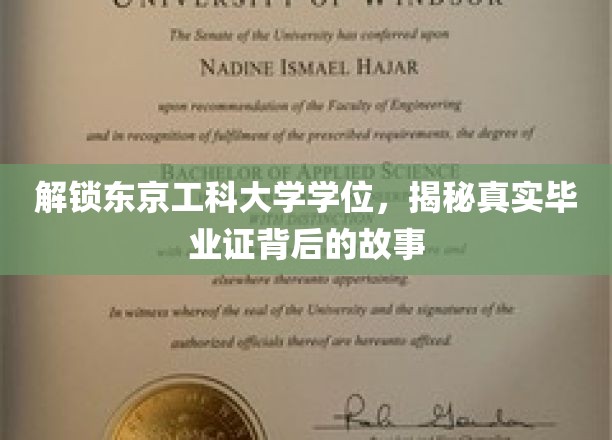 揭秘，东京工科大学学位认证之谜，毕业证背后的真实面纱