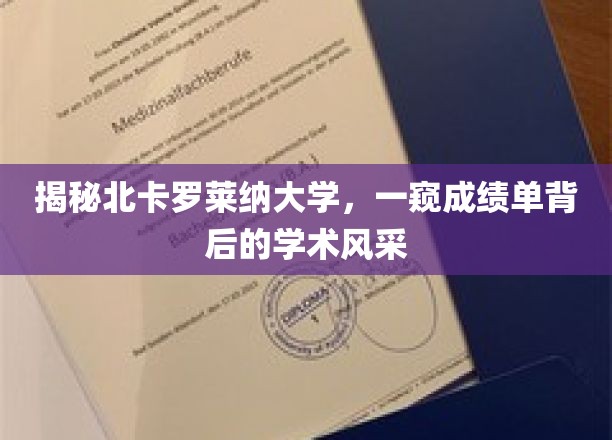 一窥北卡罗来纳大学，领略成绩单背后的学术风采