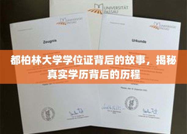 都柏林大学学位证背后的故事，揭秘真实学历背后的历程