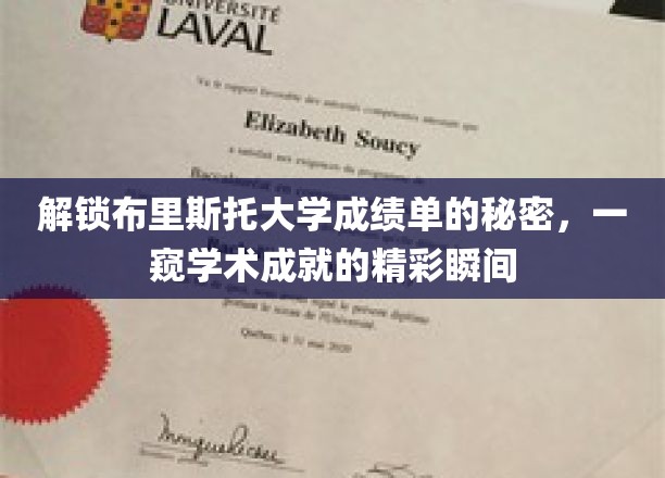 布里斯托大学成绩单背后的学术传奇，揭秘成就背后的精彩瞬间