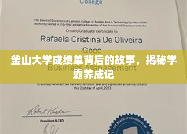 揭开学霸秘籍，釜山大学成绩单背后的励志传奇