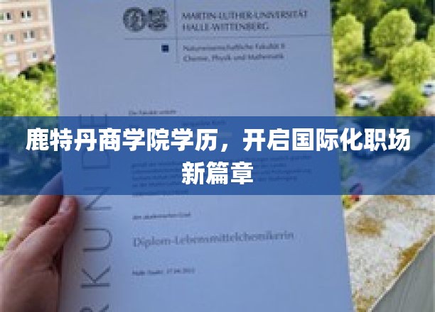 跨国职场新航标，鹿特丹商学院学历助力全球职业飞跃