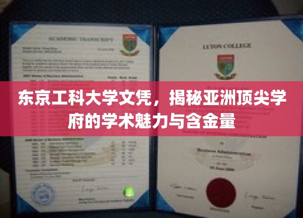 解码东京工科大学，亚洲顶级学府的学术风采与价值认证