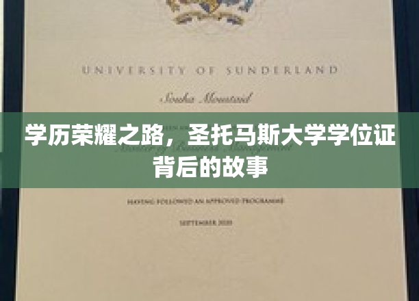圣托马斯大学学位证，探寻荣耀背后的求学传奇