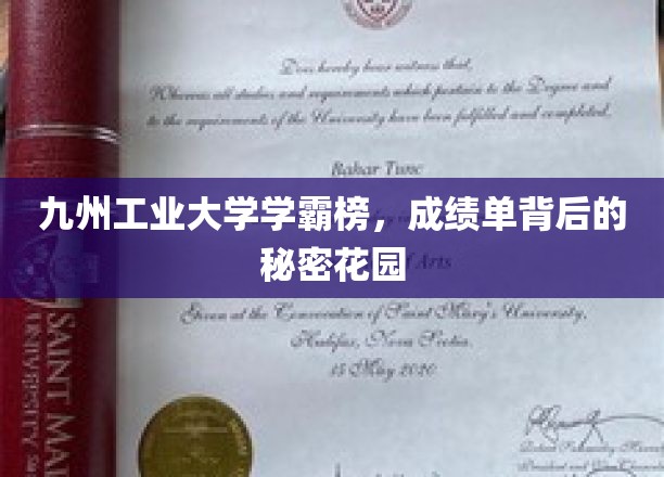 学霸风云录，揭秘九州工业大学成绩单背后的绿洲奇缘