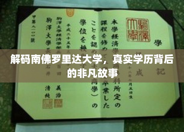 解码南佛罗里达大学，真实学历背后的非凡故事