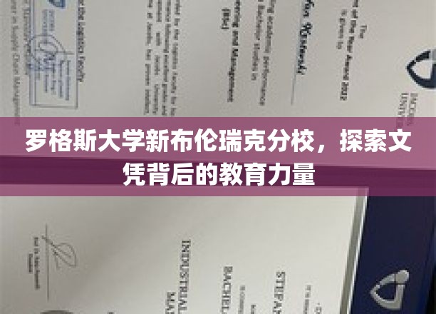 罗格斯大学新布伦瑞克分校，揭开学历背后的教育奥秘