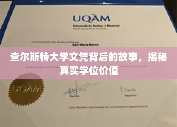 查尔斯特大学文凭背后，一场探秘学位真实价值的旅程