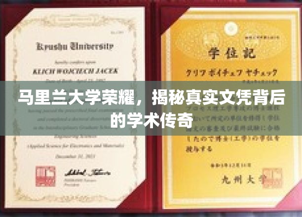 马里兰大学荣耀，探秘真实文凭背后的学术传奇