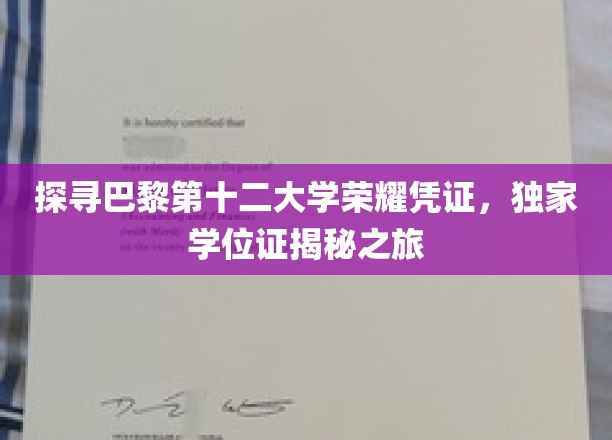 巴黎第十二大学传奇学位，揭开荣耀背后的秘密档案