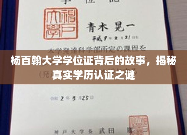 杨百翰大学学位证之谜，揭秘学历认证背后的真实面纱