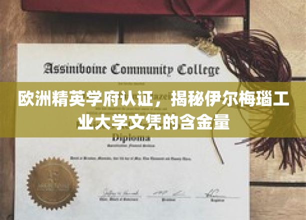 欧洲名校认可，伊尔梅瑙工业大学学位的黄金价值解析