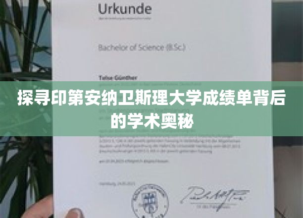 探寻印第安纳卫斯理大学成绩单背后的学术奥秘