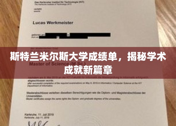 斯特兰米尔斯大学新里程，探索卓越学术成就的秘密花园