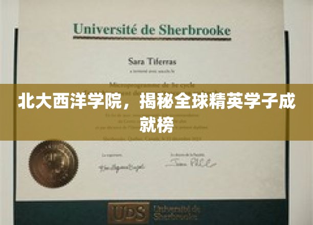 北大西洋学院，培养未来世界领袖的精英摇篮风采展示