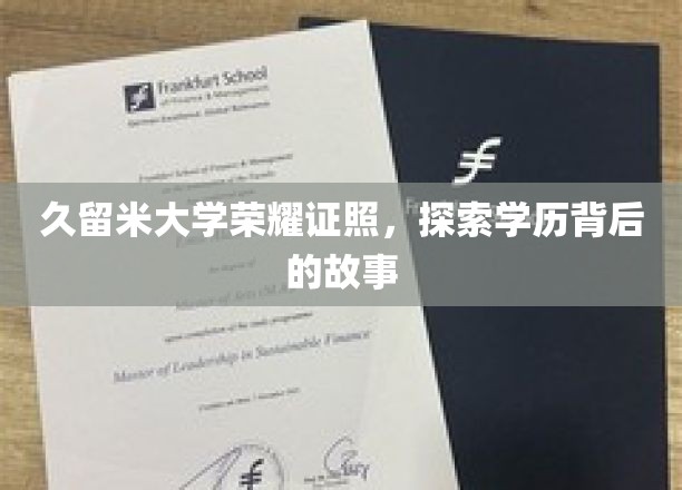 久留米大学荣耀证书，探寻学历背后的故事