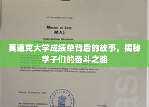 探寻莫道克大学学子砥砺前行的足迹