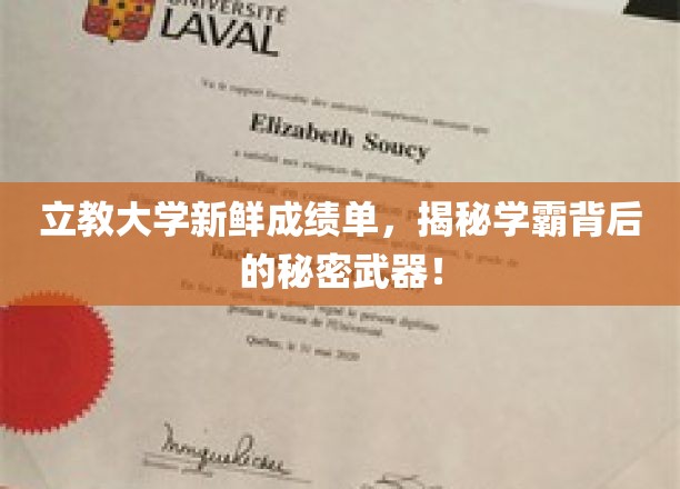 破解学霸养成记，立教大学新成绩单背后的神秘力量大揭秘