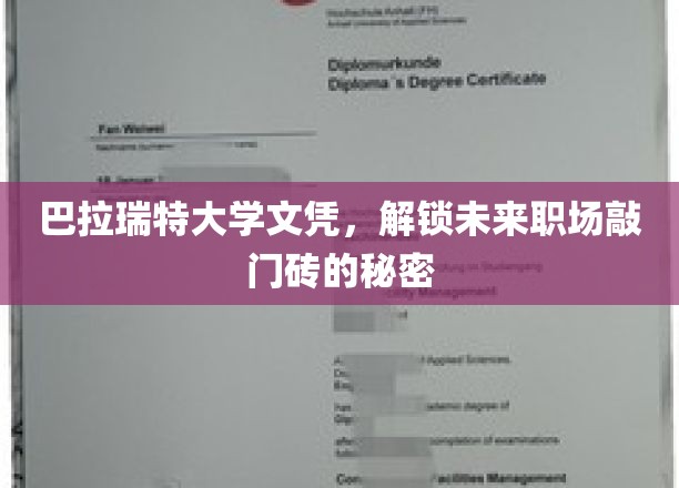 解锁职场大门，巴拉瑞特大学文凭背后的隐藏优势