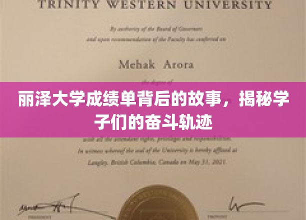 丽泽学子奋斗足迹，一纸成绩单背后的励志篇章