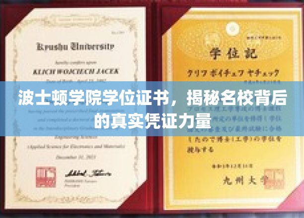 波士顿学院学位证书，揭秘名校背后的真实凭证力量