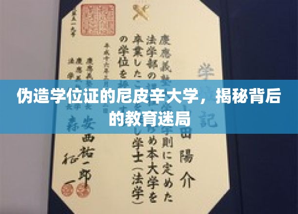 尼皮辛大学专业设置，揭开教育的神秘面纱
