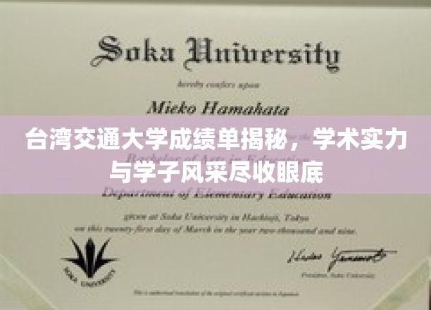 台交大成绩单曝光，揭秘学术精英与青春风采的完美融合