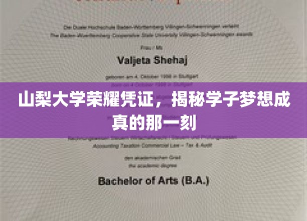 山梨大学荣耀凭证，见证学子梦想成真的那一刻