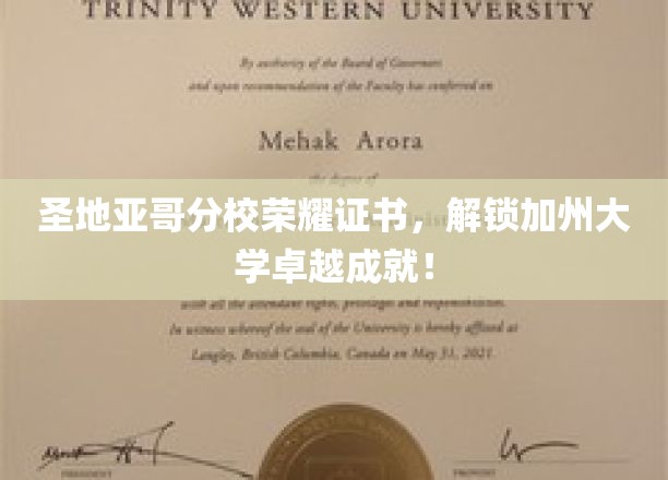 加州圣地亚哥分校荣耀证书，彰显卓越学子加州梦之旅