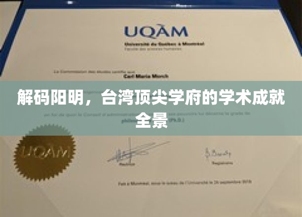 台湾学术之光，阳明大学解码智慧，成就璀璨全景图