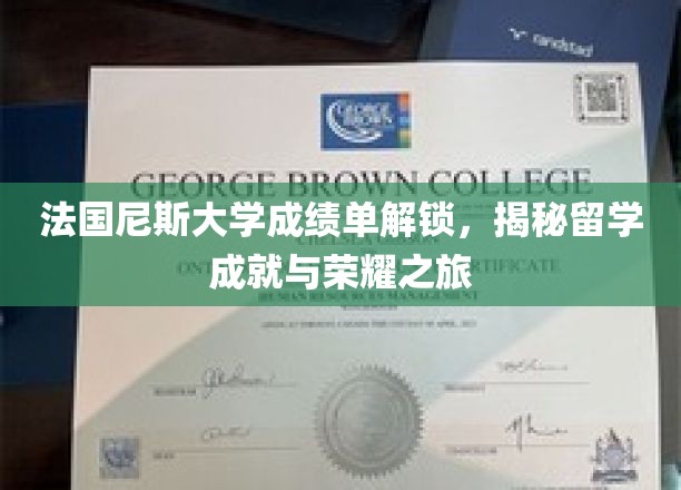 尼斯大学成绩单背后的留学传奇，探寻荣耀成就之路