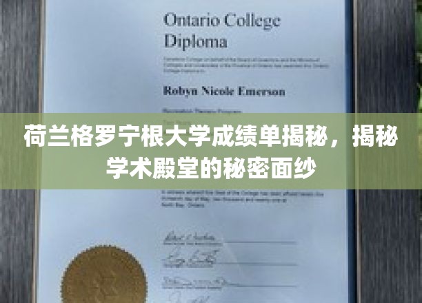 揭开荷兰格罗宁根大学成绩单背后的学术奥秘