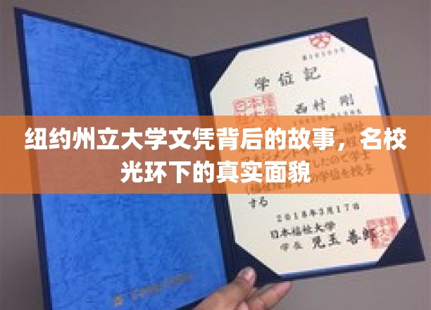 揭开纽约州立大学文凭的神秘面纱，名校光环下的真实生活画卷