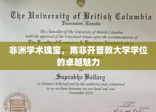 探寻南非开普敦大学学位的非洲学术之光