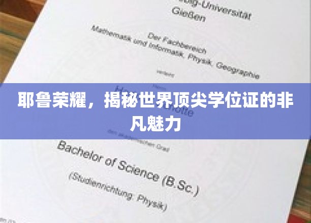 耶鲁荣耀，探索顶尖学位背后的神秘魅力
