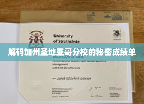 探秘加州圣地亚哥分校，揭秘学霸背后的神秘成绩单