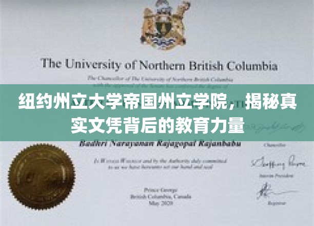 揭开纽约州立大学帝国州立学院，文凭背后的卓越教育之谜