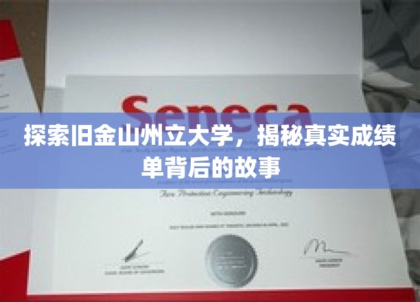 探索旧金山州立大学，揭秘真实成绩单背后的故事