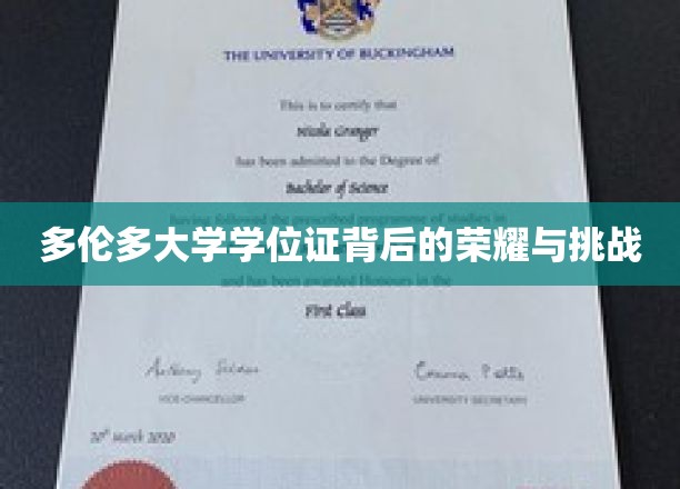 多伦多大学学位证背后的荣耀与挑战