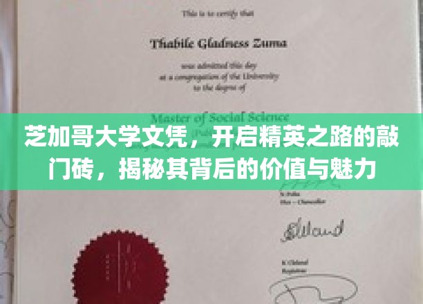 芝加哥大学文凭，解锁精英之门，揭秘名校学位的非凡魅力