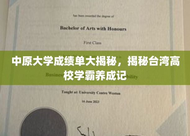 中原大学学霸养成攻略，揭秘台湾高校高分背后的秘密