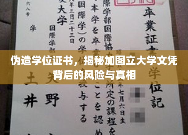 伪造学位证书的隐秘代价，加图立大学文凭之谜揭晓