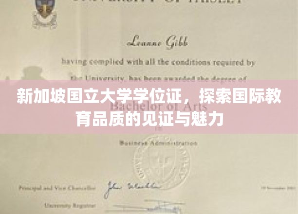 新加坡国立大学学位证，探索国际教育品质的见证与魅力