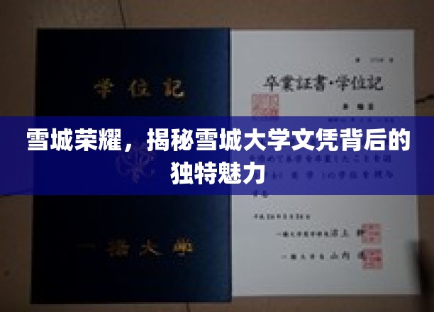 雪城大学文凭独领风骚，揭秘其背后的神秘魅力