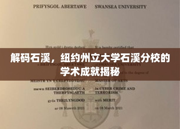 解码石溪，纽约州立大学石溪分校的学术成就揭秘